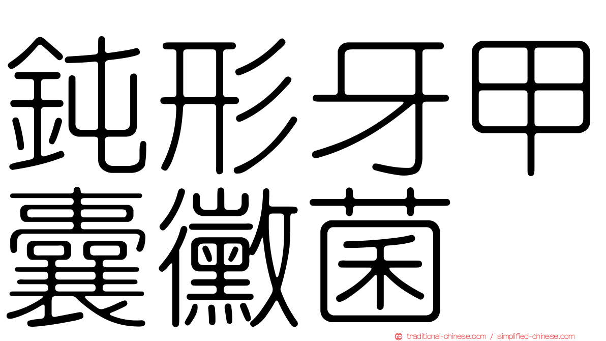 鈍形牙甲囊黴菌