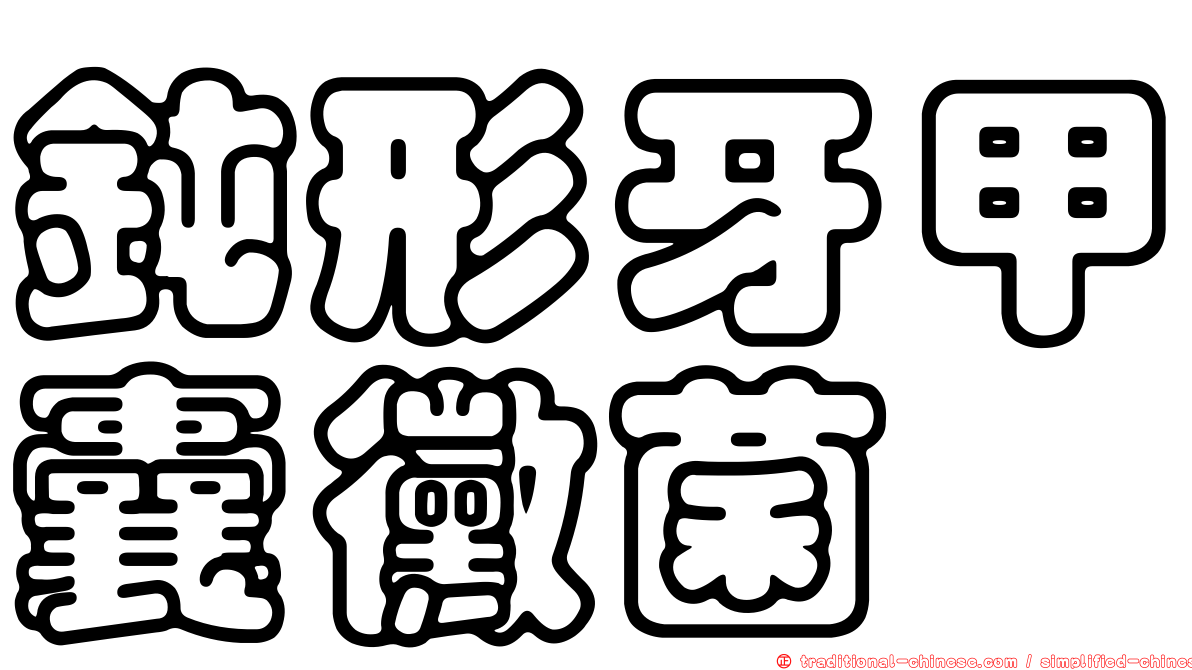 鈍形牙甲囊黴菌