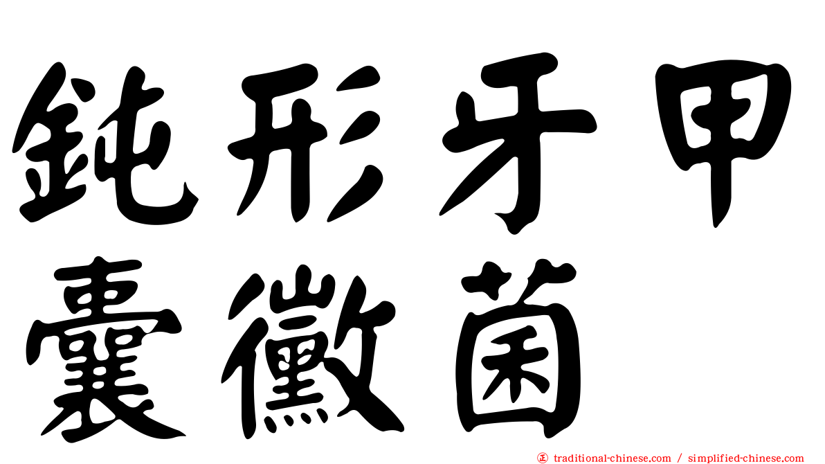 鈍形牙甲囊黴菌