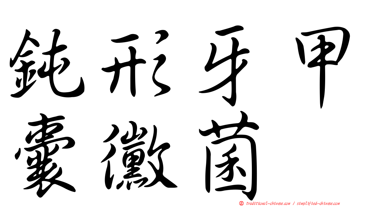鈍形牙甲囊黴菌