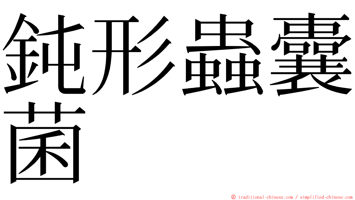 鈍形蟲囊菌 ming font