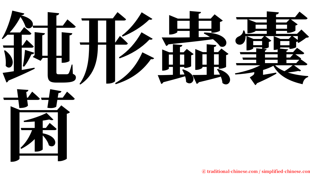 鈍形蟲囊菌 serif font