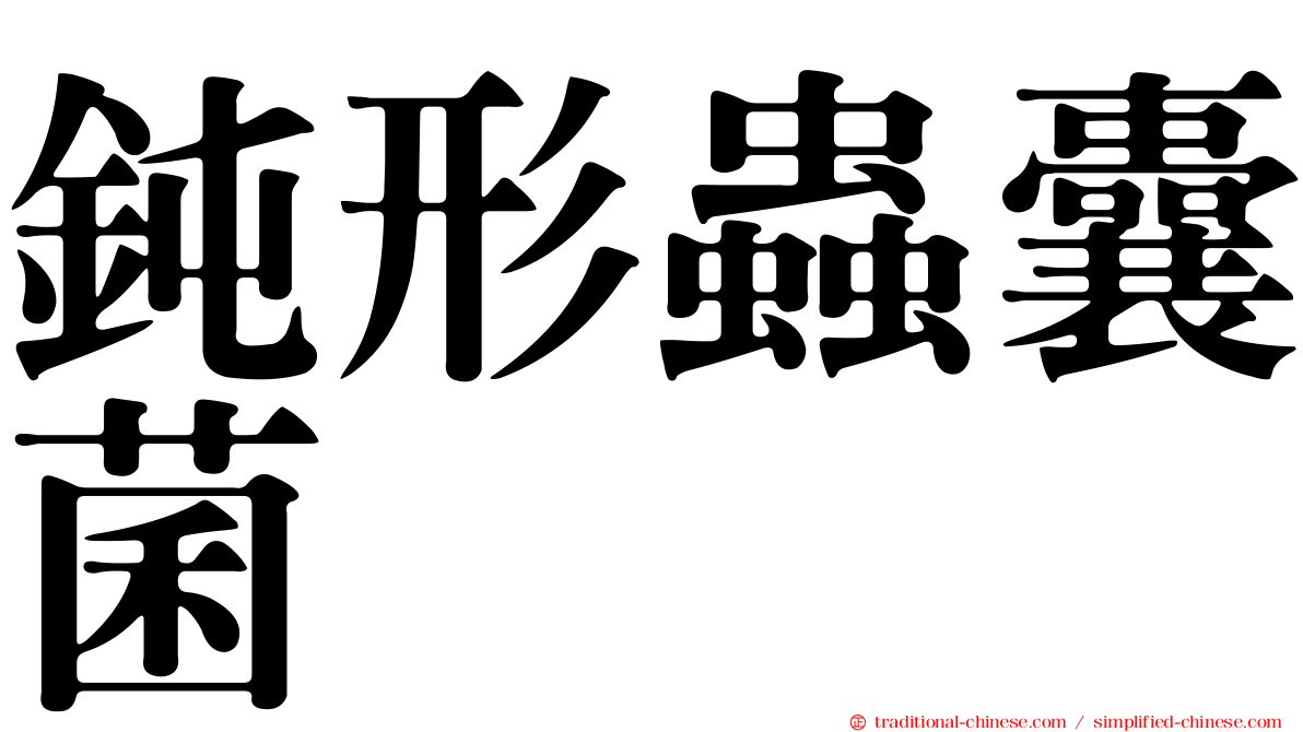 鈍形蟲囊菌