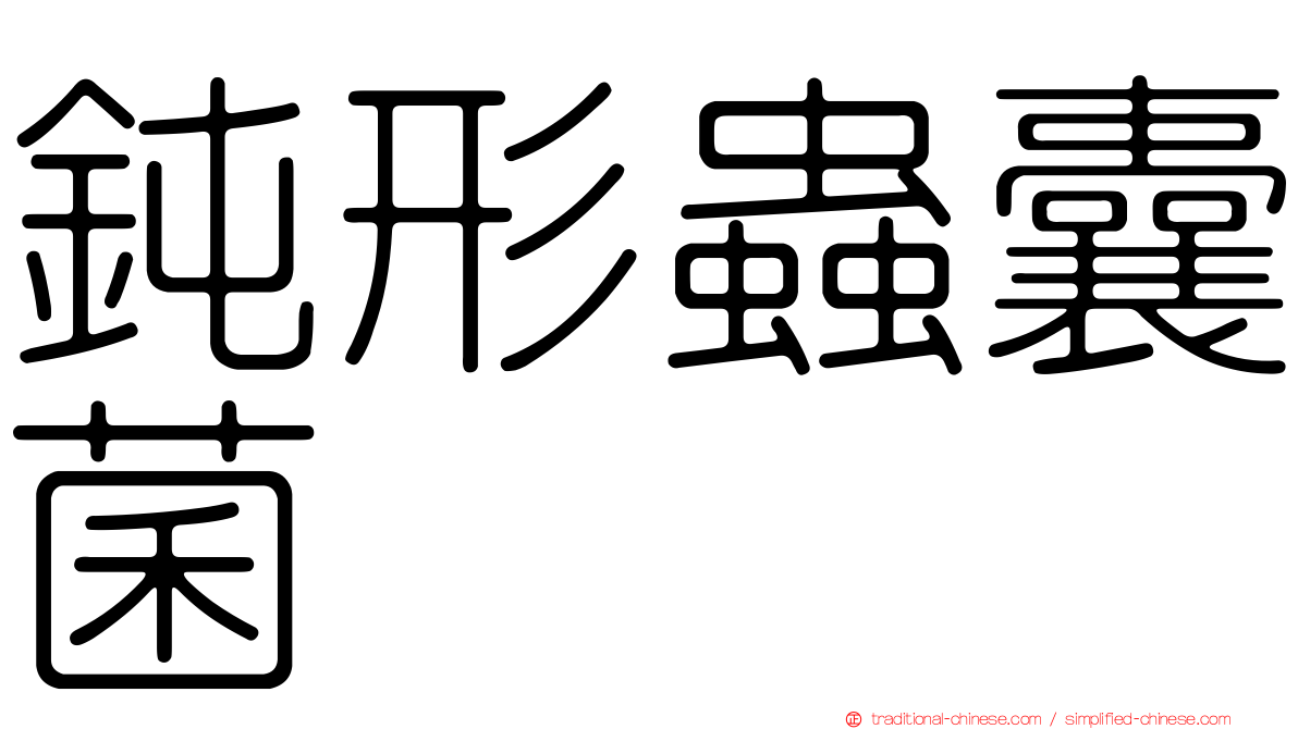 鈍形蟲囊菌