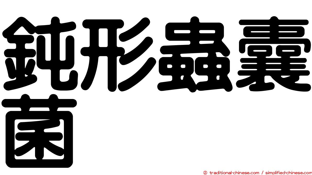 鈍形蟲囊菌