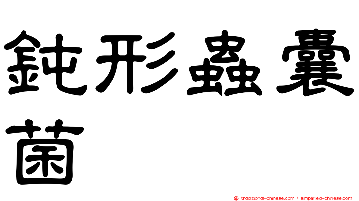 鈍形蟲囊菌