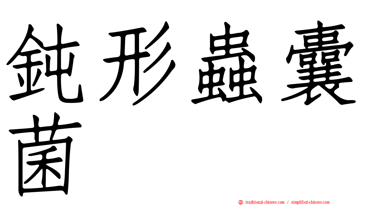 鈍形蟲囊菌