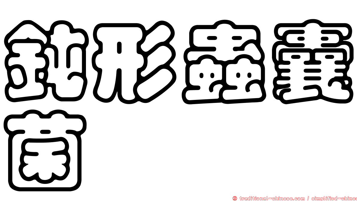 鈍形蟲囊菌
