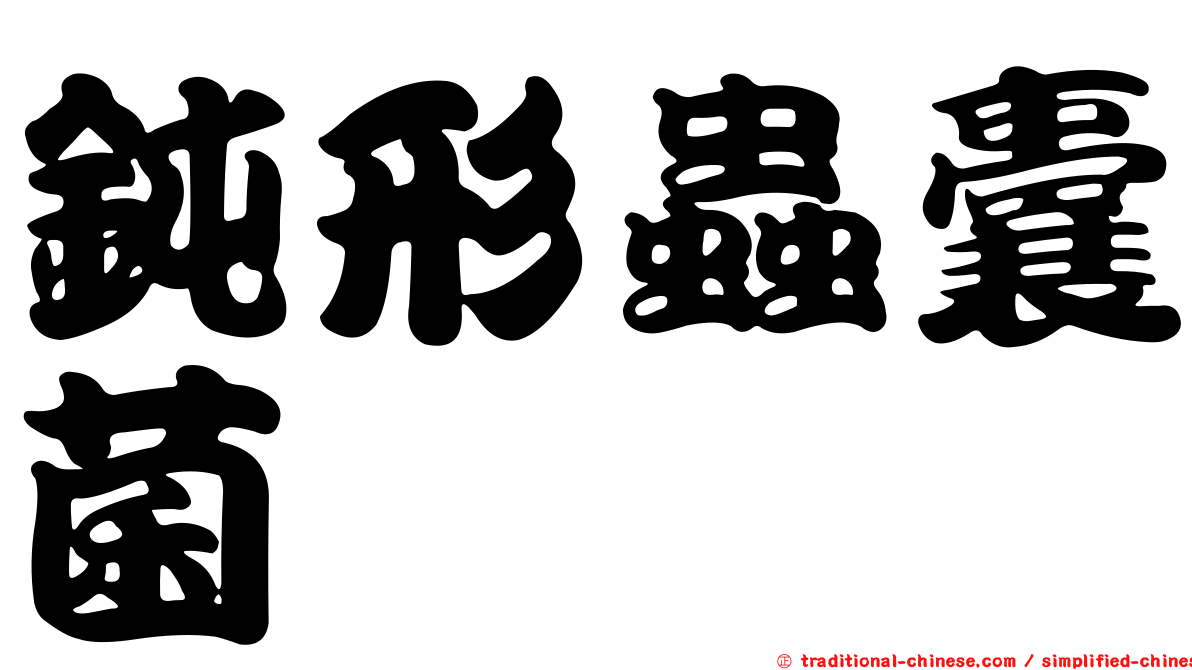 鈍形蟲囊菌