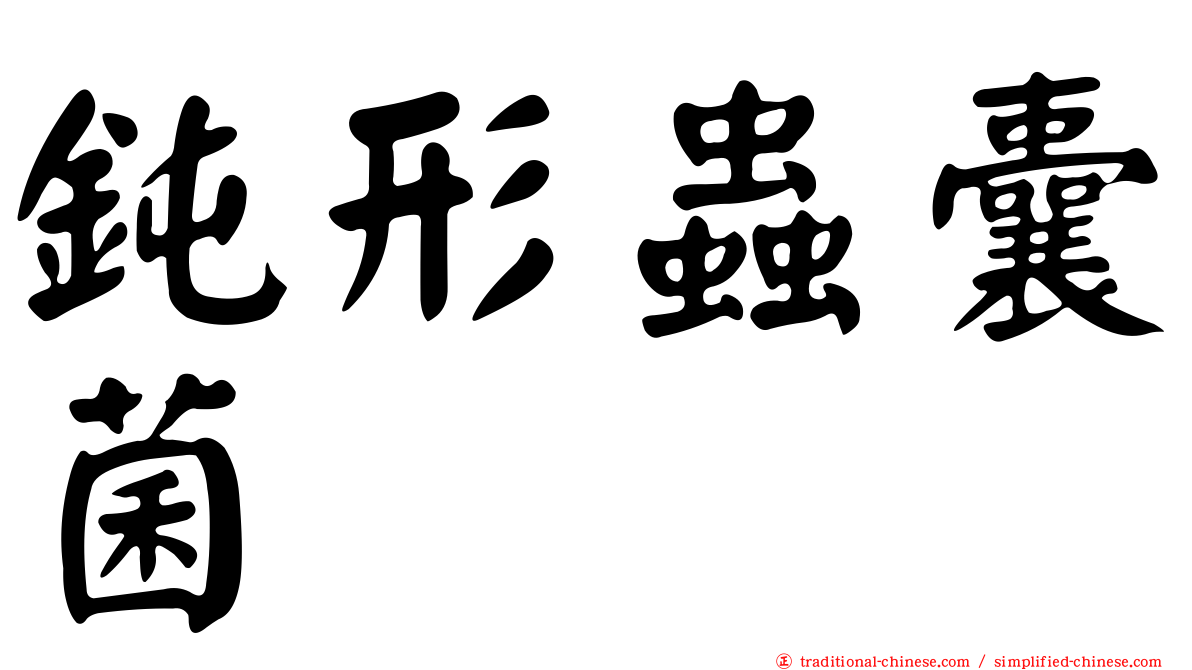 鈍形蟲囊菌