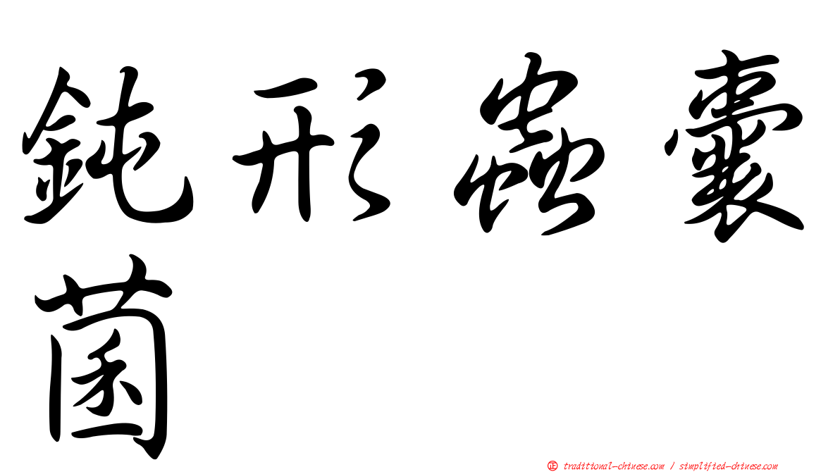 鈍形蟲囊菌