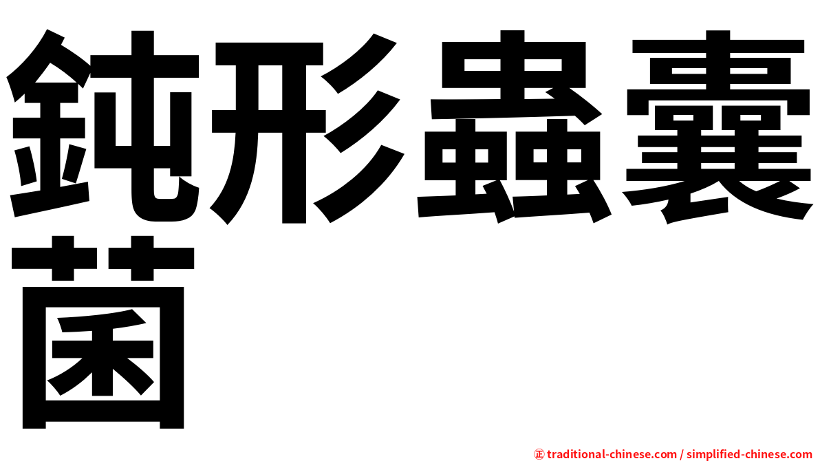 鈍形蟲囊菌