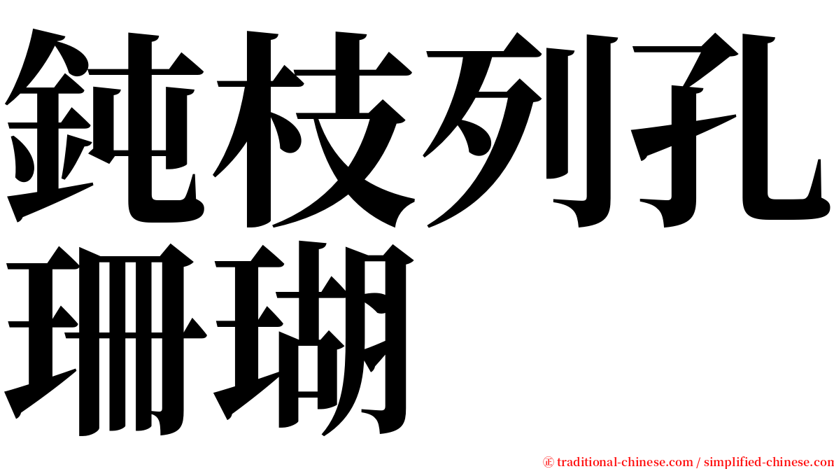 鈍枝列孔珊瑚 serif font