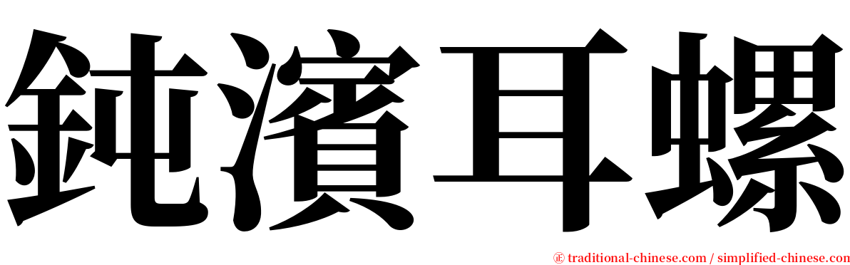 鈍濱耳螺 serif font