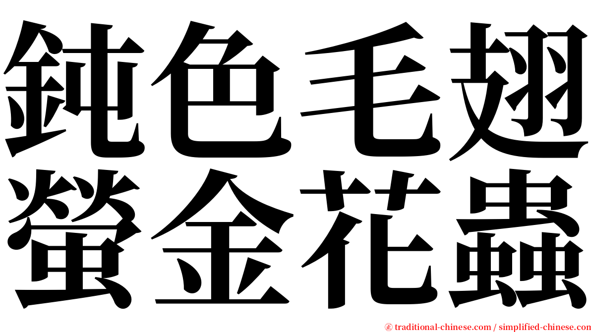 鈍色毛翅螢金花蟲 serif font