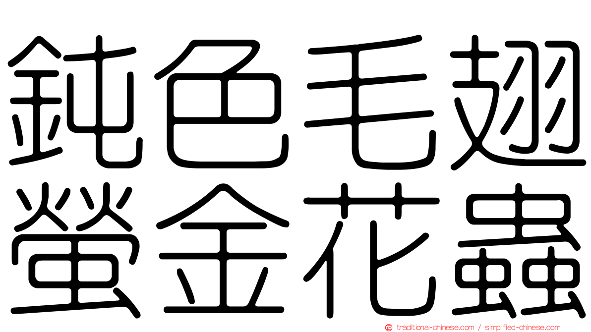 鈍色毛翅螢金花蟲