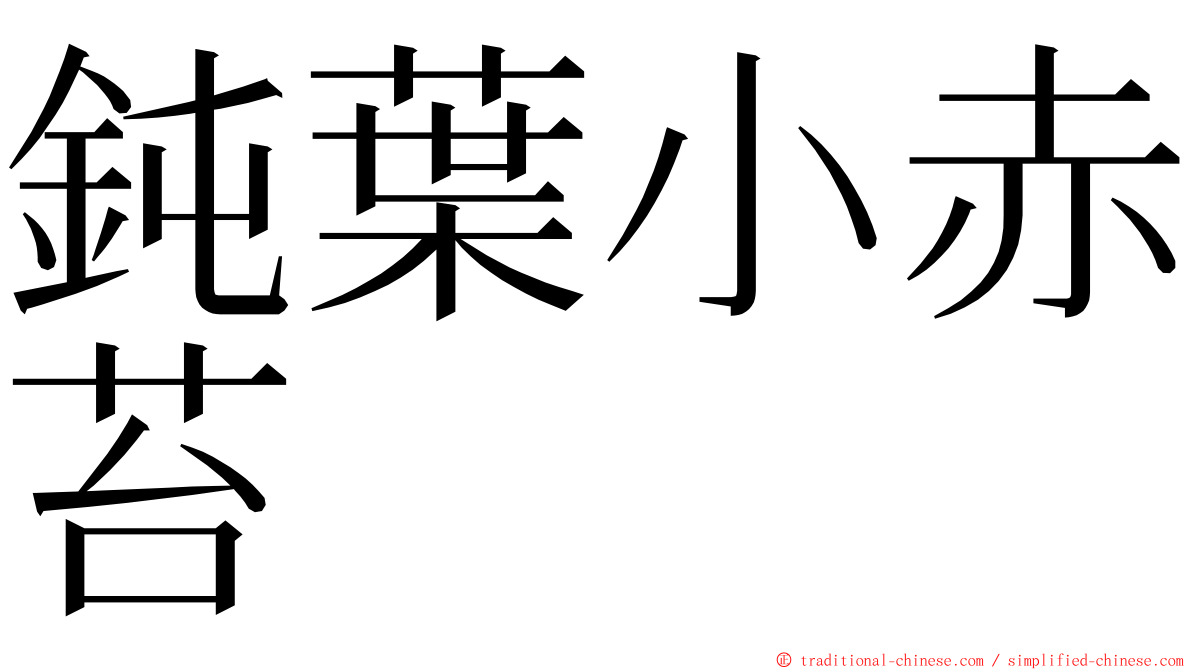 鈍葉小赤苔 ming font