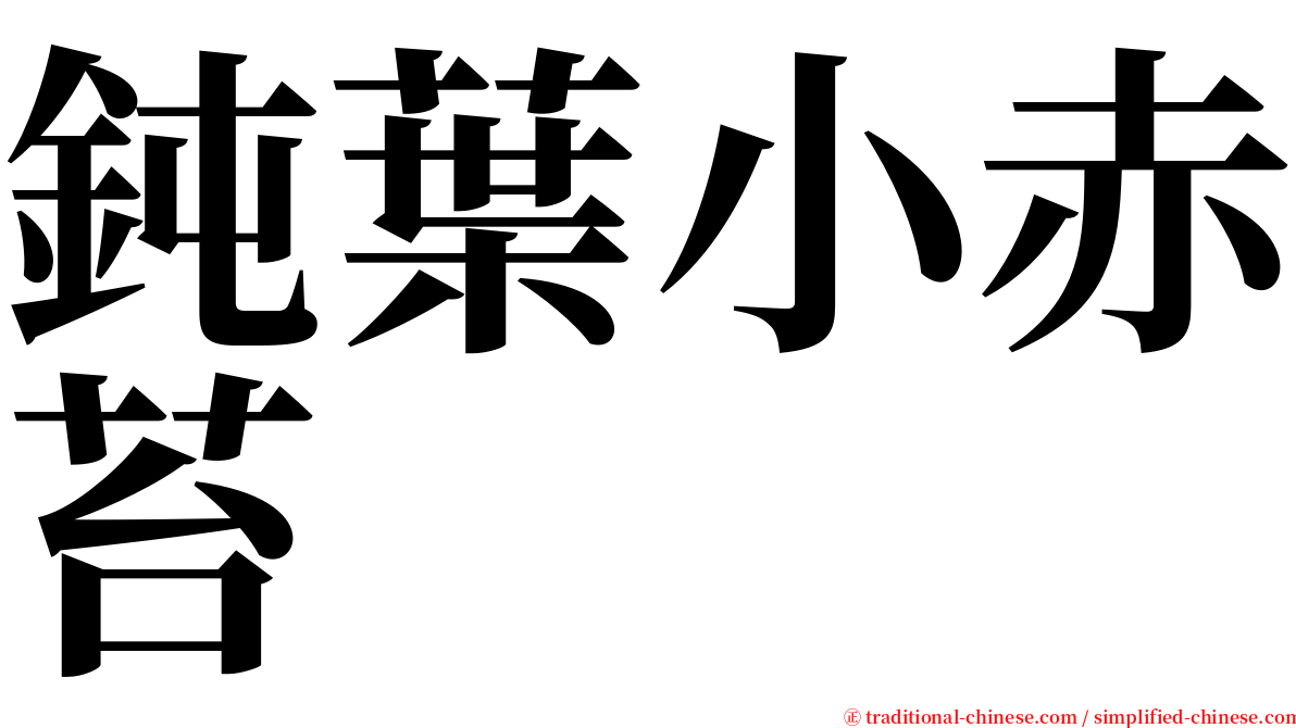 鈍葉小赤苔 serif font