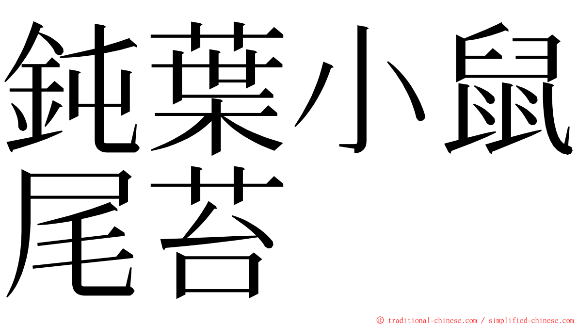 鈍葉小鼠尾苔 ming font