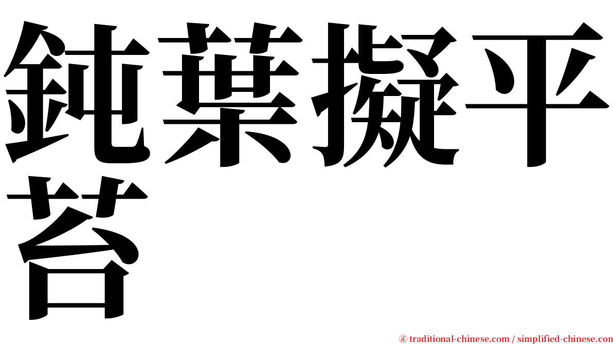 鈍葉擬平苔 serif font