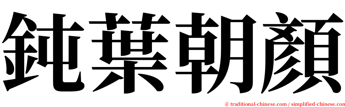 鈍葉朝顏 serif font