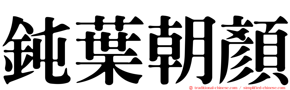 鈍葉朝顏