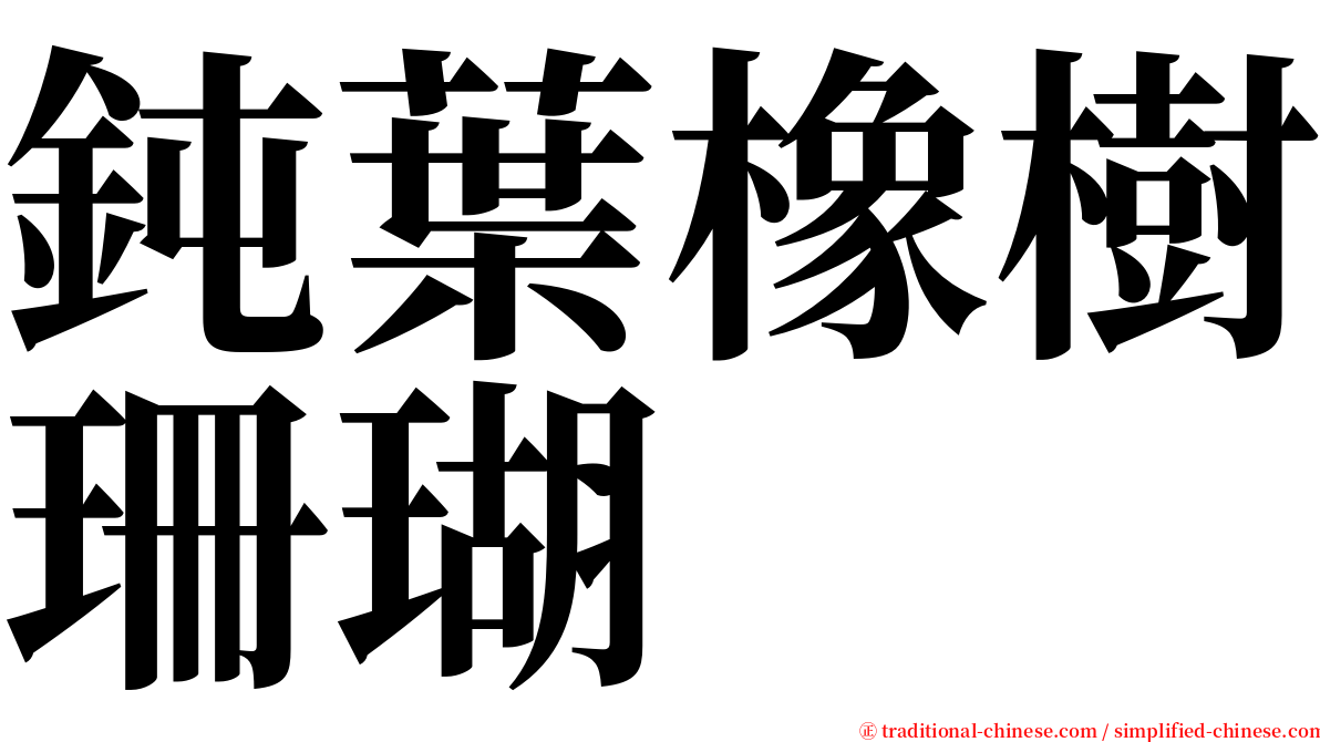 鈍葉橡樹珊瑚 serif font