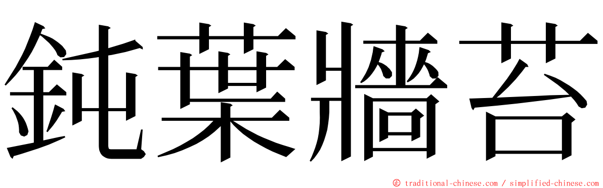 鈍葉牆苔 ming font