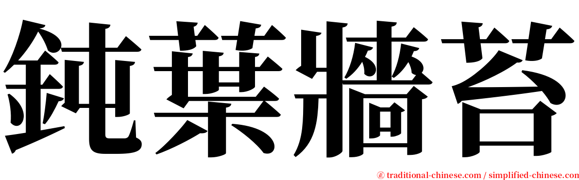 鈍葉牆苔 serif font