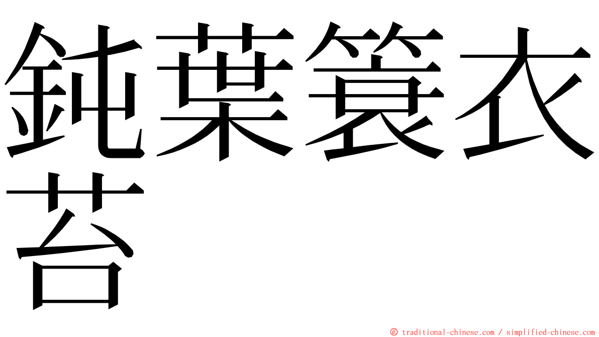 鈍葉簑衣苔 ming font