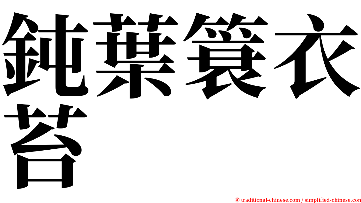 鈍葉簑衣苔 serif font