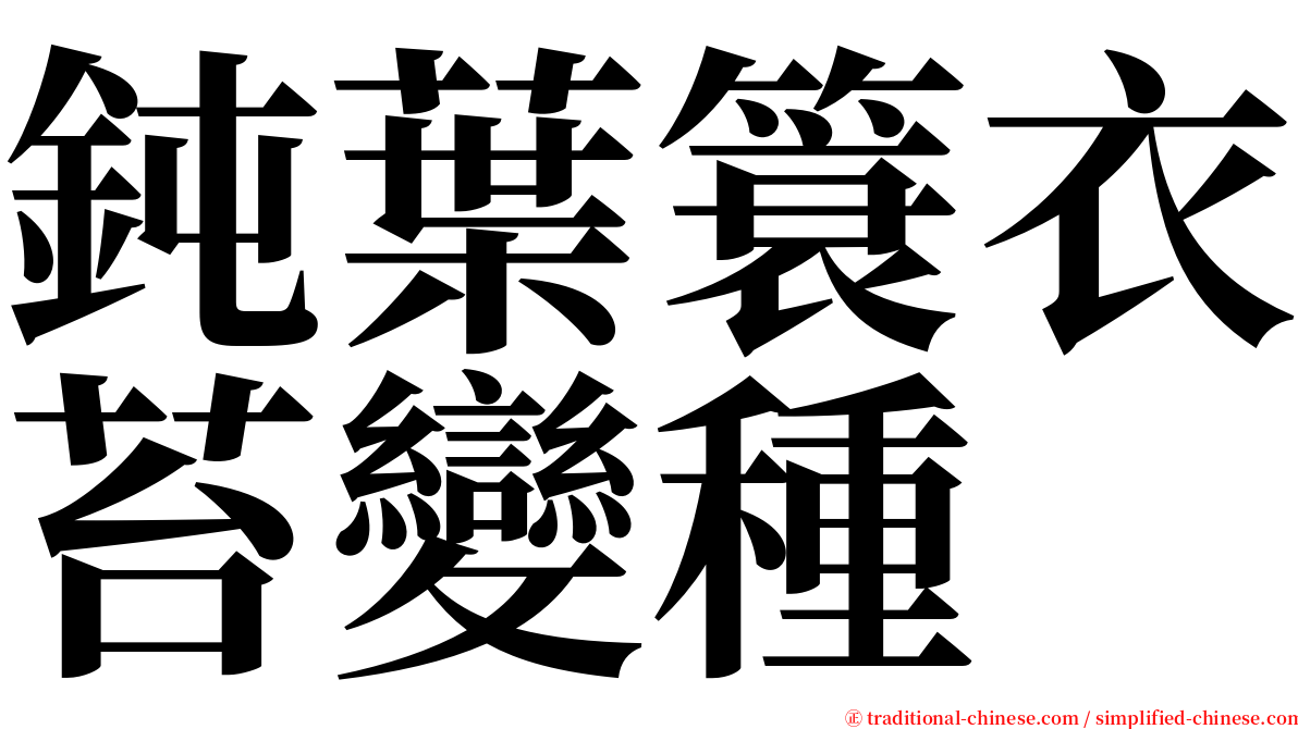 鈍葉簑衣苔變種 serif font