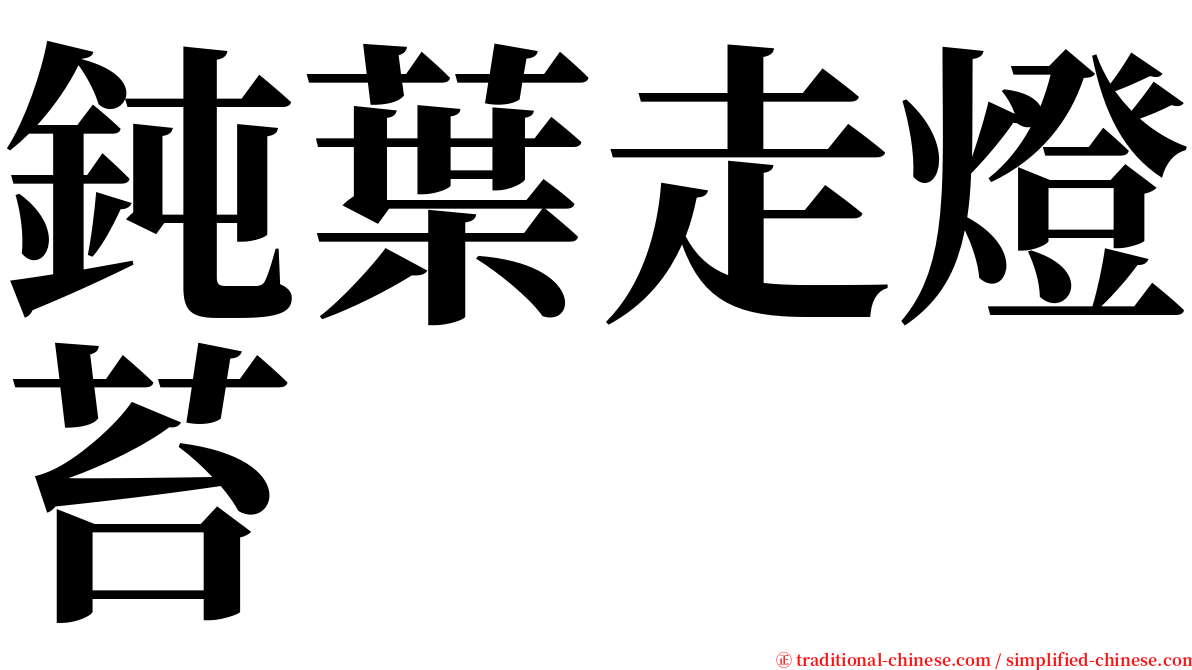 鈍葉走燈苔 serif font