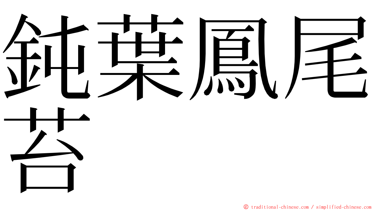 鈍葉鳳尾苔 ming font