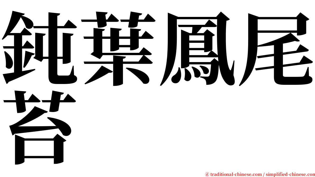 鈍葉鳳尾苔 serif font