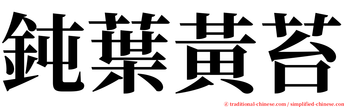 鈍葉黃苔 serif font