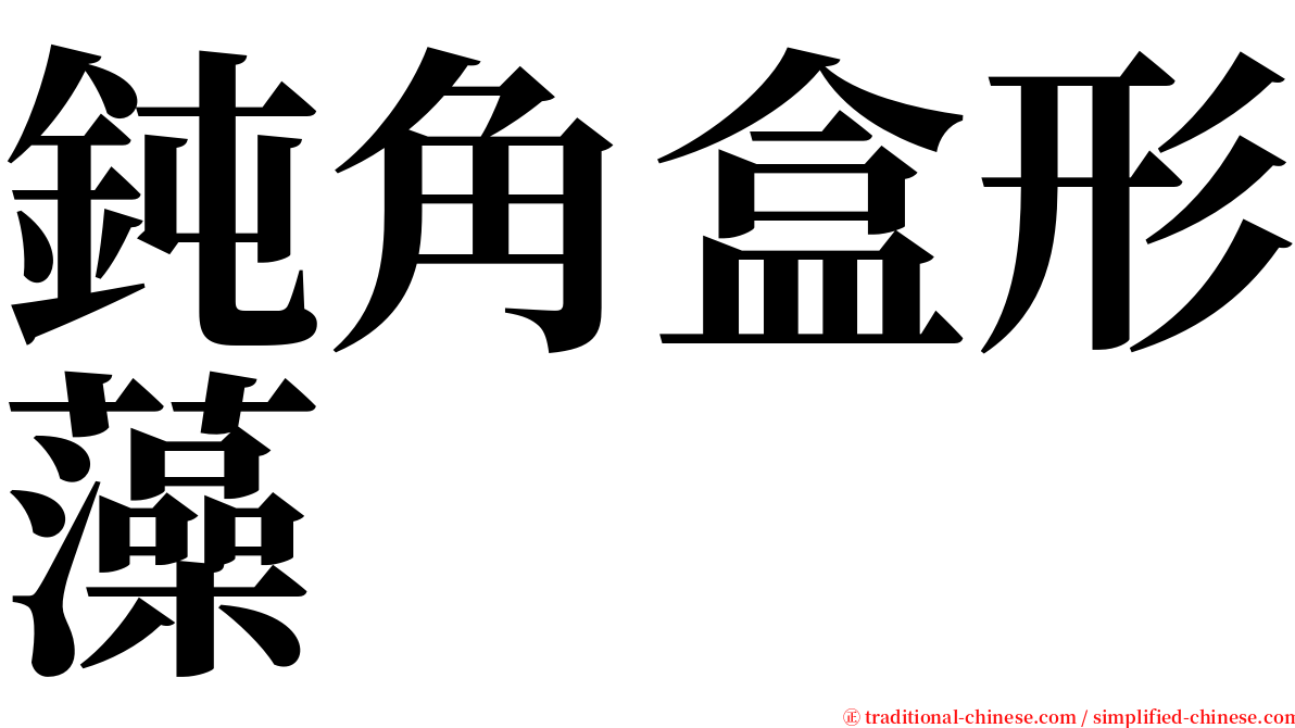 鈍角盒形藻 serif font