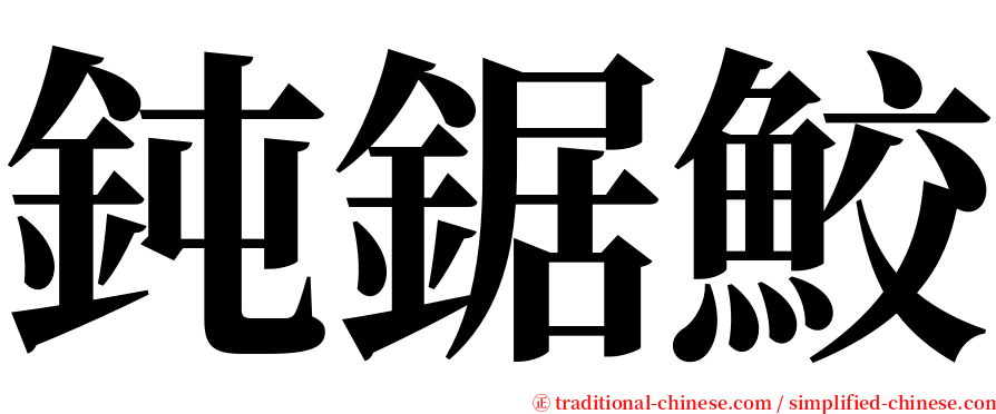 鈍鋸鮫 serif font