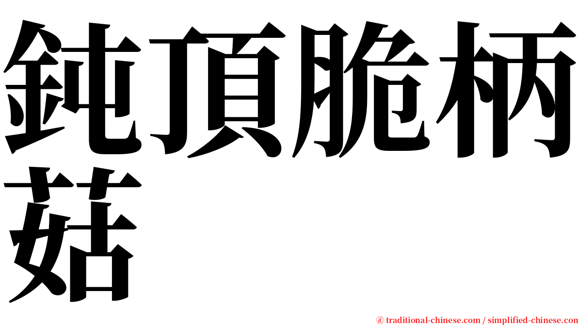 鈍頂脆柄菇 serif font