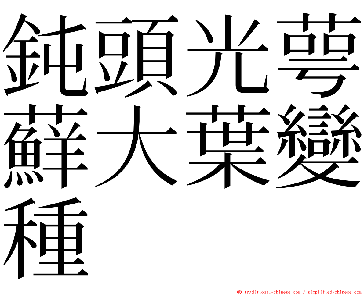 鈍頭光萼蘚大葉變種 ming font