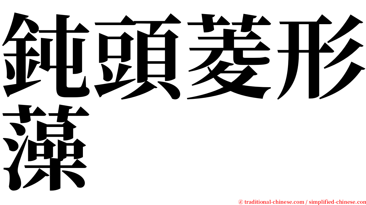 鈍頭菱形藻 serif font