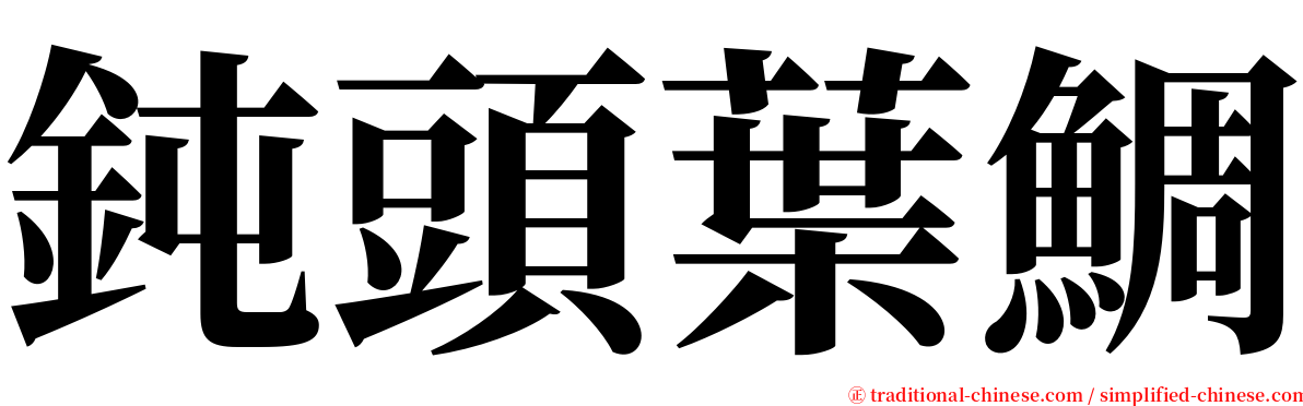 鈍頭葉鯛 serif font