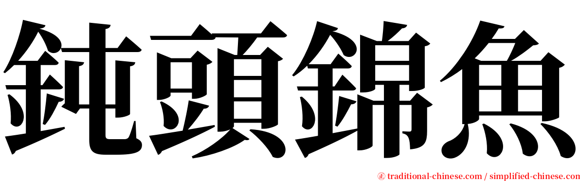 鈍頭錦魚 serif font