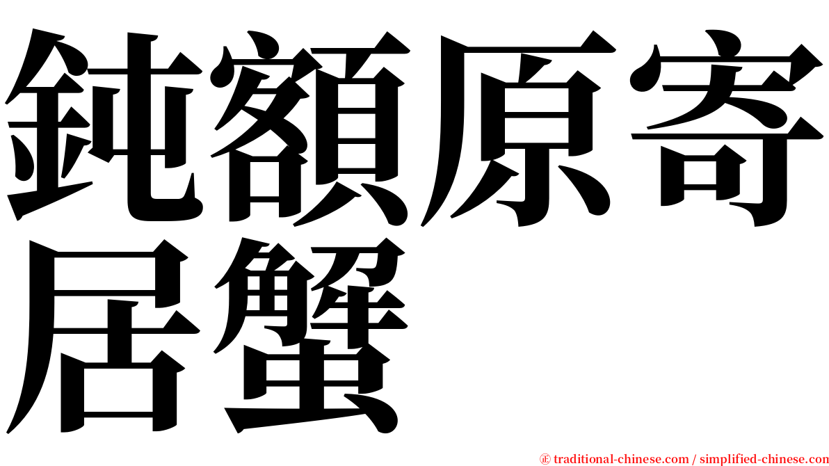 鈍額原寄居蟹 serif font