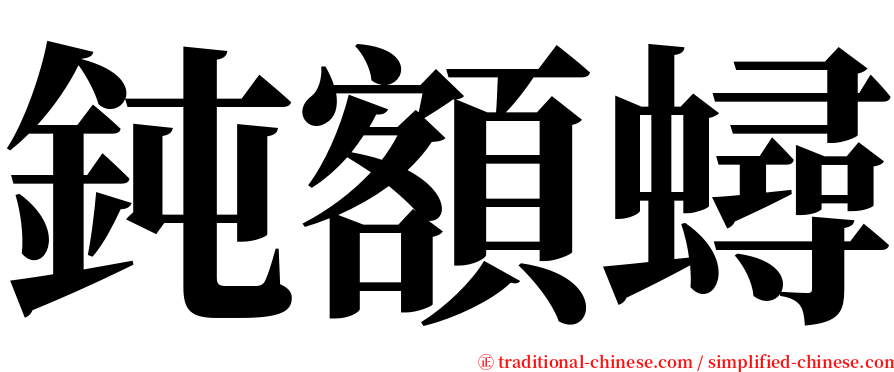 鈍額蟳 serif font