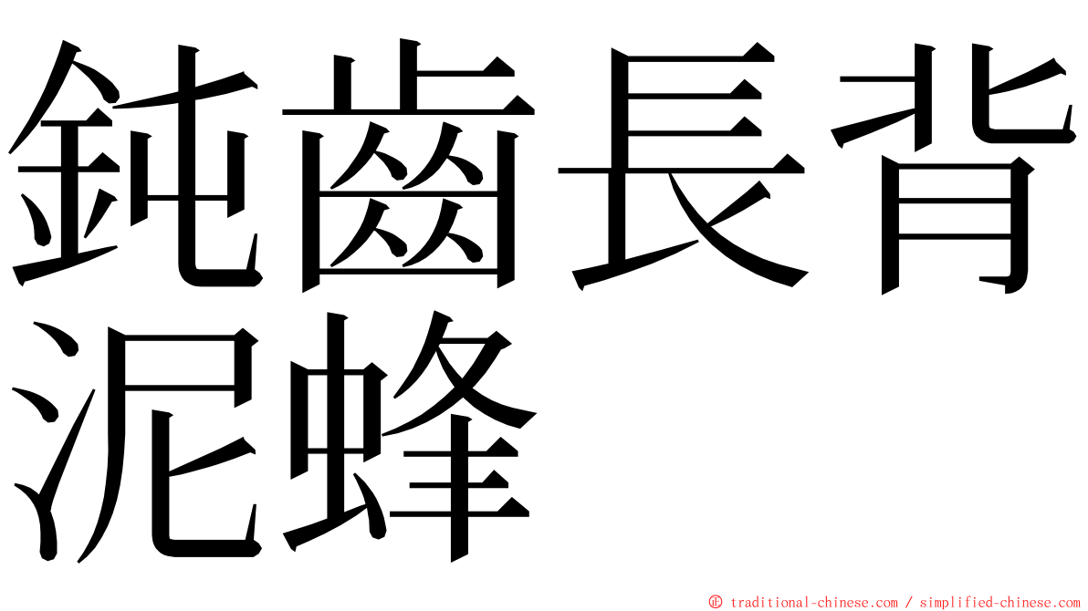 鈍齒長背泥蜂 ming font