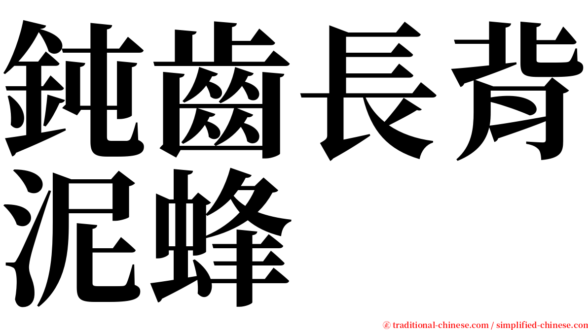 鈍齒長背泥蜂 serif font