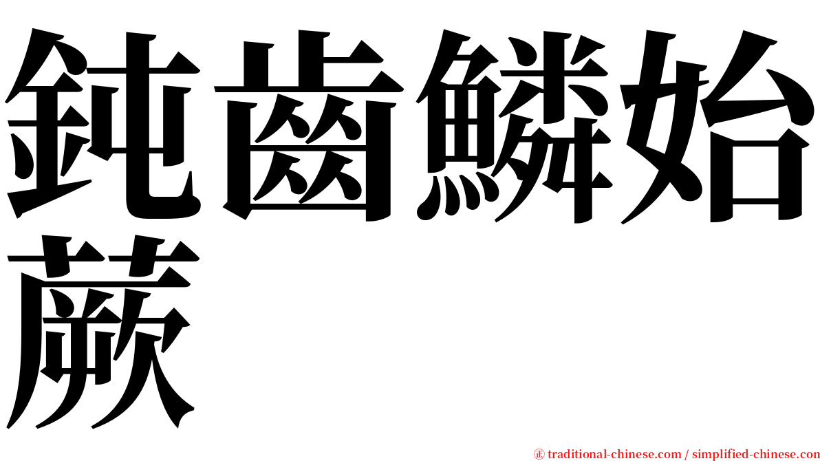 鈍齒鱗始蕨 serif font