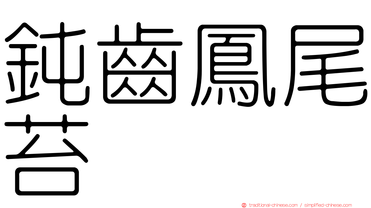 鈍齒鳳尾苔