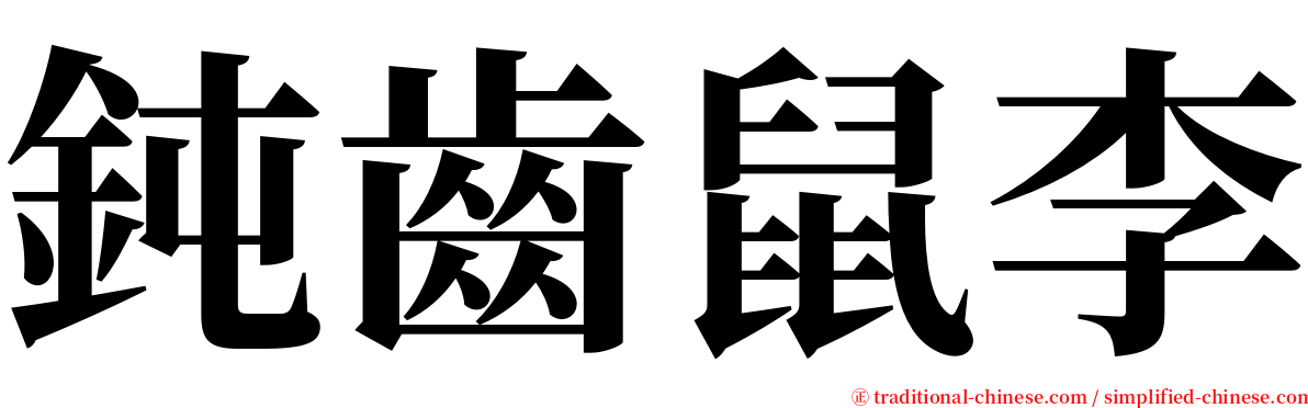 鈍齒鼠李 serif font